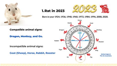 1996生肖|1996 Chinese Zodiac, Fire Rat: 2025 Horoscope & Luck